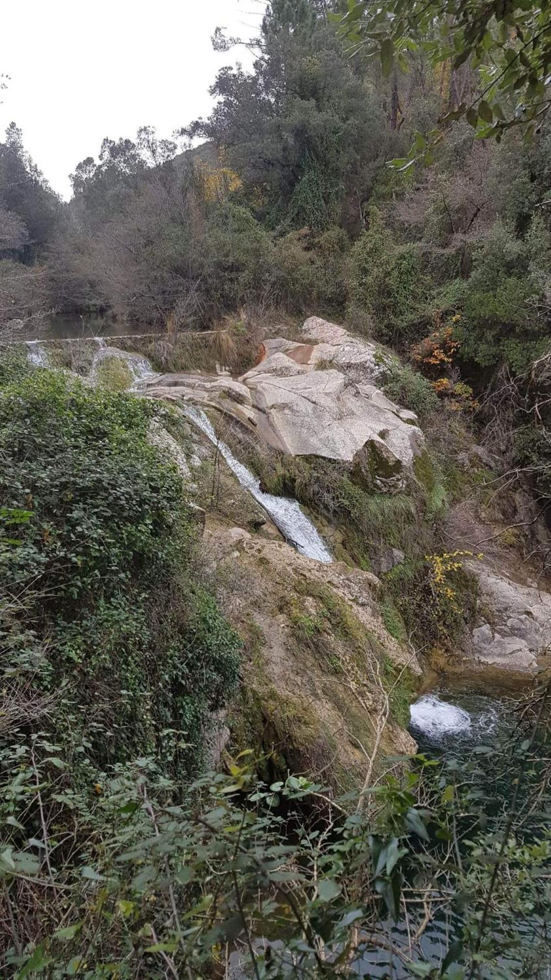 Le Clos Du Cedre Saint-Sebastien  ภายนอก รูปภาพ
