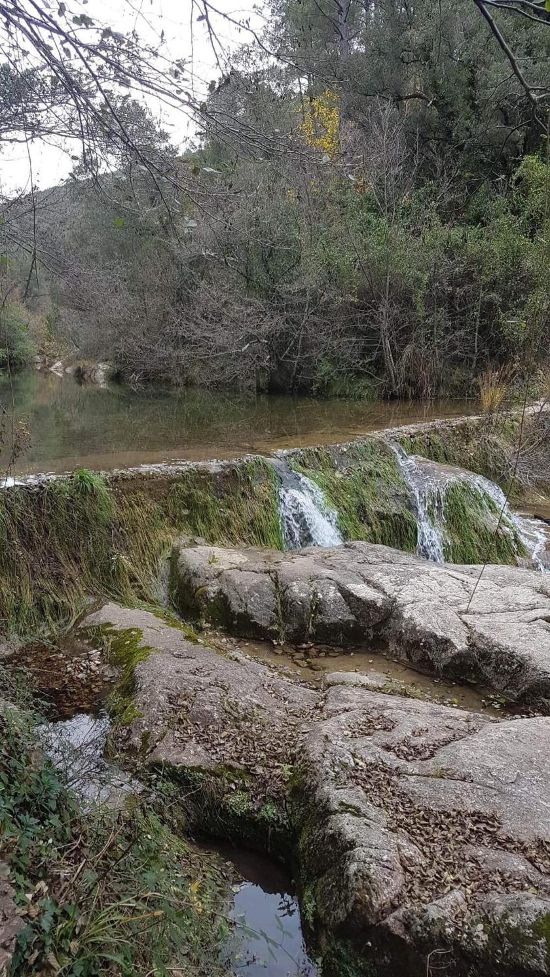 Le Clos Du Cedre Saint-Sebastien  ภายนอก รูปภาพ